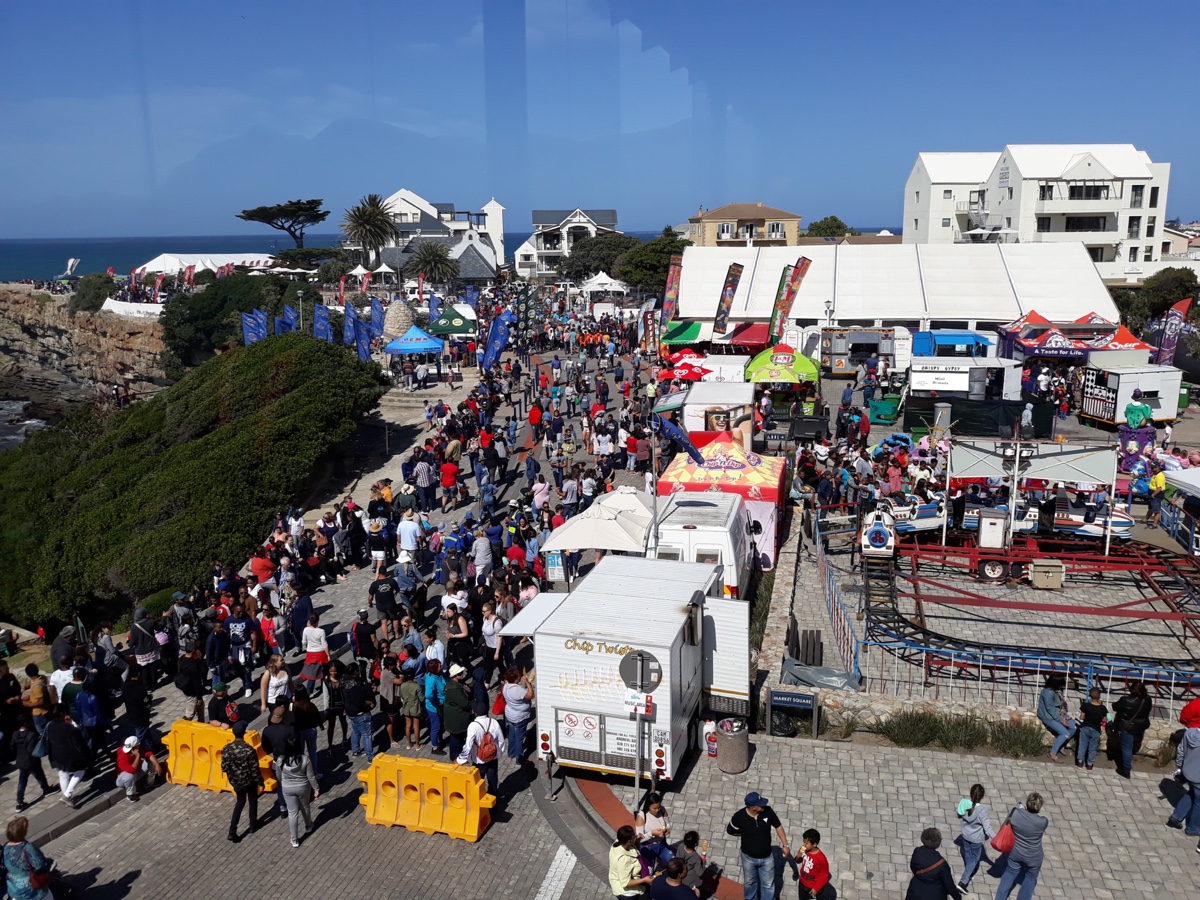 whale-festival-gallery02