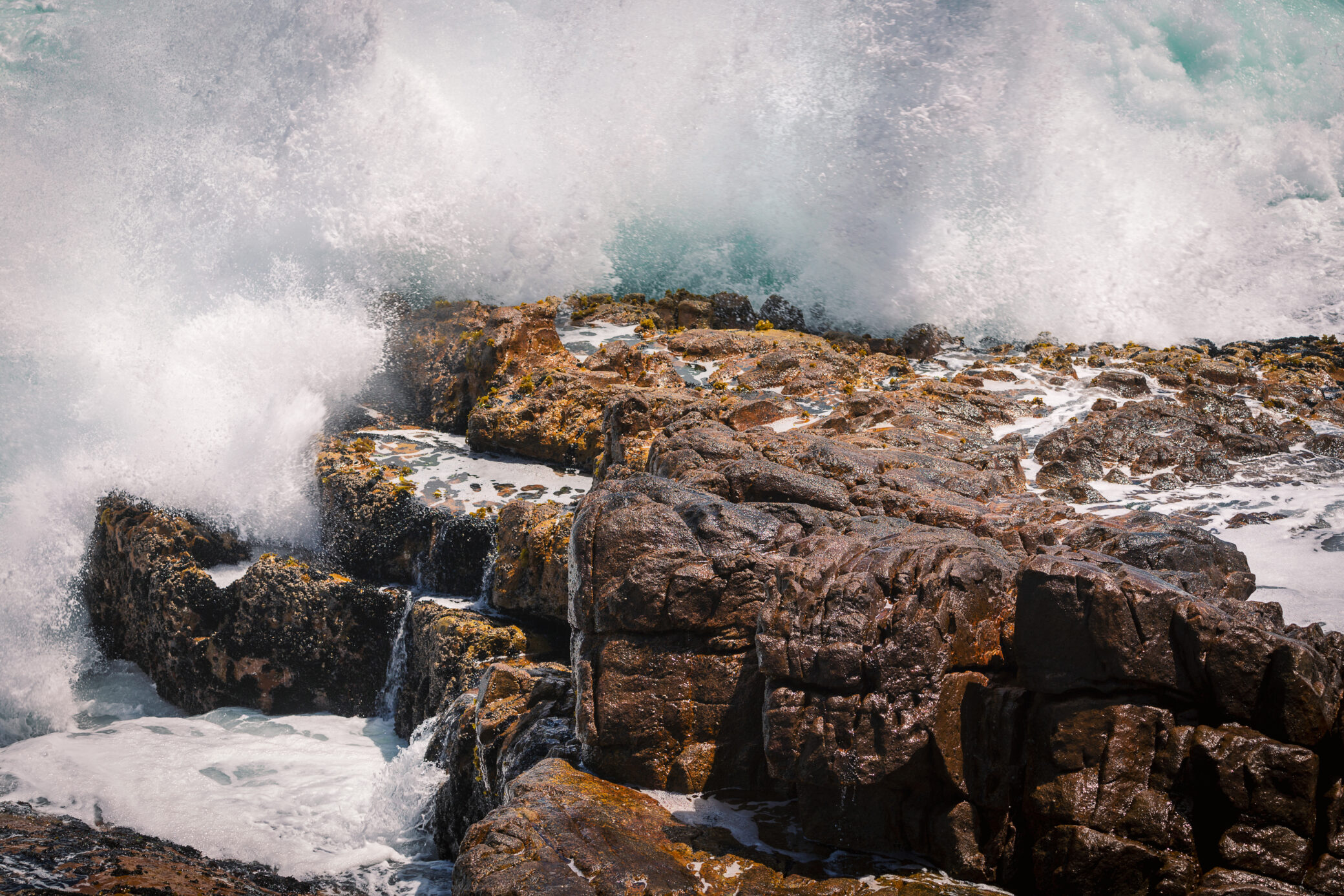 Things to Do in Hermanus