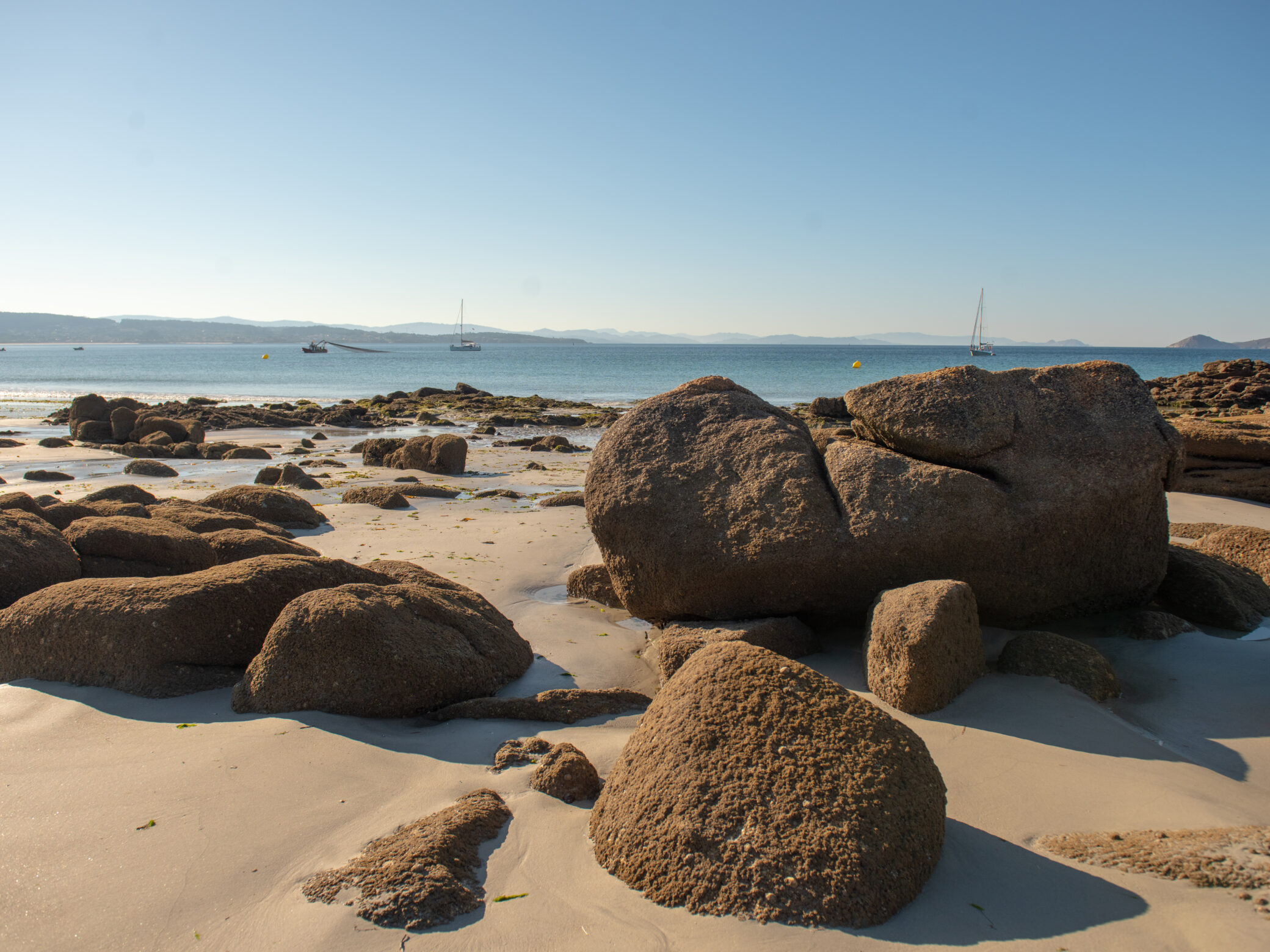FynArts Hermanus Festival 2025